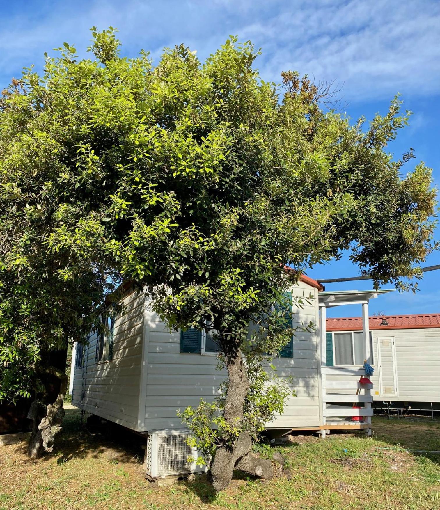 Camping Internazionale Di Castelfusano Lido di Ostia Exterior foto